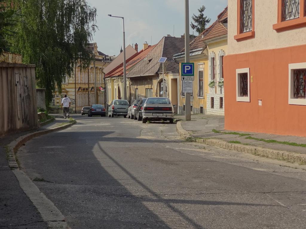 Dia Miskolc